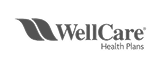 wellcare